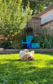 Picture for category Odor Eliminators